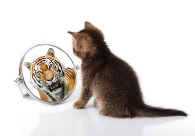How to Use Self-Awareness as a Personal and Professional Asset
