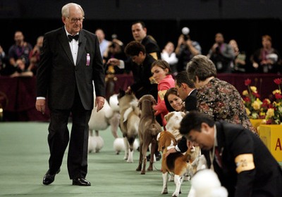 Choosing Dogs and Board Members
