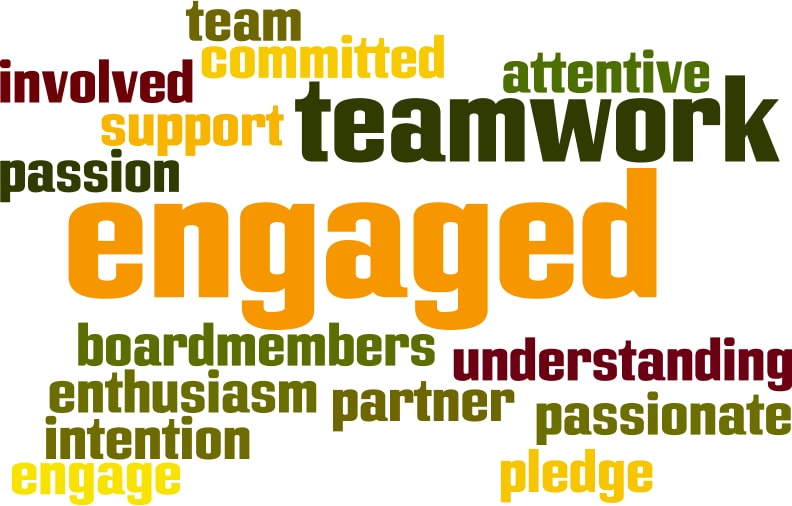 nonprofit board engagement
